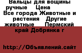 Вальцы для вощины ручные  › Цена ­ 10 000 - Все города Животные и растения » Другие животные   . Пермский край,Добрянка г.